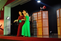 La regata veneziana - spectacle amour folie et tintamarre - la mule lyrique -Puymoyen février 2020