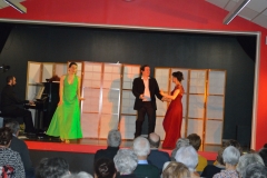 You got me - spectacle amour folie et tintamarre - la mule lyrique -Puymoyen février 2020